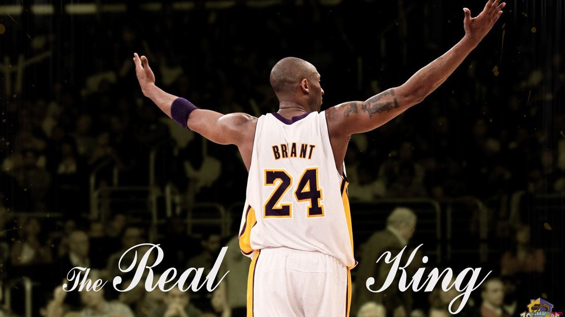 “体育志愿者服务马拉松” 连续服务多个赛事考验毅力